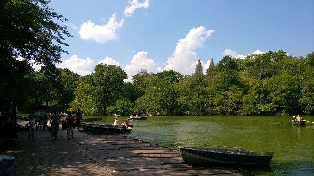 WP_20150909_13_43_11_Pro